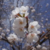 毎年(その2)