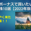 夏のボーナスで買いたい米国株10選【2022年版】