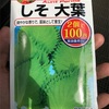 【種まき】ベランダで大葉（しそ）を育てます【家庭菜園2年目】