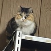 寒いので胸がざわざわする　