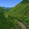 新緑の阿哲峡を通過する、国鉄特急色381系の「やくも8号」を撮る！