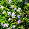 ４月１２日