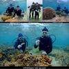 親子でScuba diving!