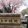 川崎市の日本民家園を訪ねる