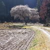 初冬の根羽村　　2016_12_05