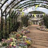 4月の横浜イングリッシュガーデン