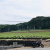 なぎさホテル