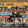 アース ブラックキャップ