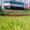 2024/09/07 1063レ EF81 451号機