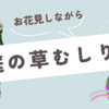 庭の草むしり🌱と素敵な花々🌺