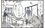 夜廻り猫【第一一〇四話】里芋泥棒3