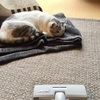 我慢比べ🐾