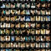 「ドクター異邦人」イ・ジョンソク、100種類の表情コレクションを公開“カラフルな魅力”