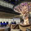 【島人の旅行】羽田空港で温泉を楽しむ