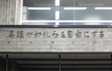 「真理はあなたを自由にする」  ヨハネ福音書