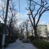 （巻四十三）古暦人は忘るる知恵もてり(成瀬桜桃子)
