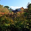 東福寺の紅葉、臥雲橋と通天橋が撮影禁止か確認してきた。