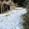 残雪の平和公園 里山