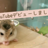 ココちゃんのYouTubeデビュー