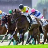 【一口馬主日記】ＴＣライオン特別編！