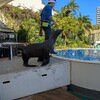 おびきだし②