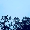 ２月２３日