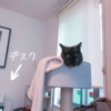 初体感した地震で絶賛体調不良。