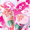 I love Starbucks sakura chiffon cake with sakura beverage!