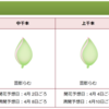 旅行記: 吉野桜を見に行った2022