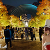 フウナ in リアル　2024・１１月　恵比寿　～ガーデンプレイス・Xmasイルミネーション　その２～