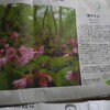 心のモヤモヤ吹きとばせ！