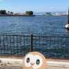 ポケモンGO　モクローと一緒に海を見てきました