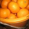 温州みかんの皮の砂糖煮