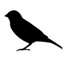 ramu's blog