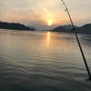 【広島県呉市蒲刈】とうとうルアー釣りからえさ釣りへ