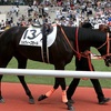 シルヴィーズモード