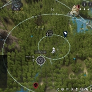 汚れたオーガのリングを取りに行ってきました 黒い砂漠 黒い砂漠の永遠 Black Desert
