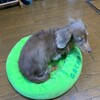 まゆ毛が痛くて鼻うがい