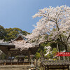 磐座神社いわくらじんじゃ