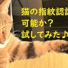 猫の指紋認証は可能か？　試してみた♪