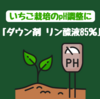 いちご栽培のpH調整に「ダウン剤 リン酸液85％」