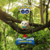 ポケモンGO　今週土曜日はモクローのコミュニティ・デイが待っています！
