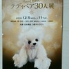 【展示の紹介】11日まで「スペシャルクリスマス　テディベア30人展」