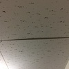 【DIY5】天井の板のズレ