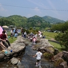 神浦 鯉来いまつり