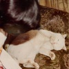 音楽の専門知識のある母を持つコンプレックスについて。About the complex about having a musically talented mother.