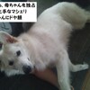 散歩コース（山）