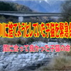 川の中に捨てようとしていた子猫を緊急保護