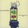 BLAM HONEY / Typical Ingeniousness ～suggest～