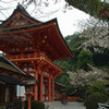 上賀茂神社